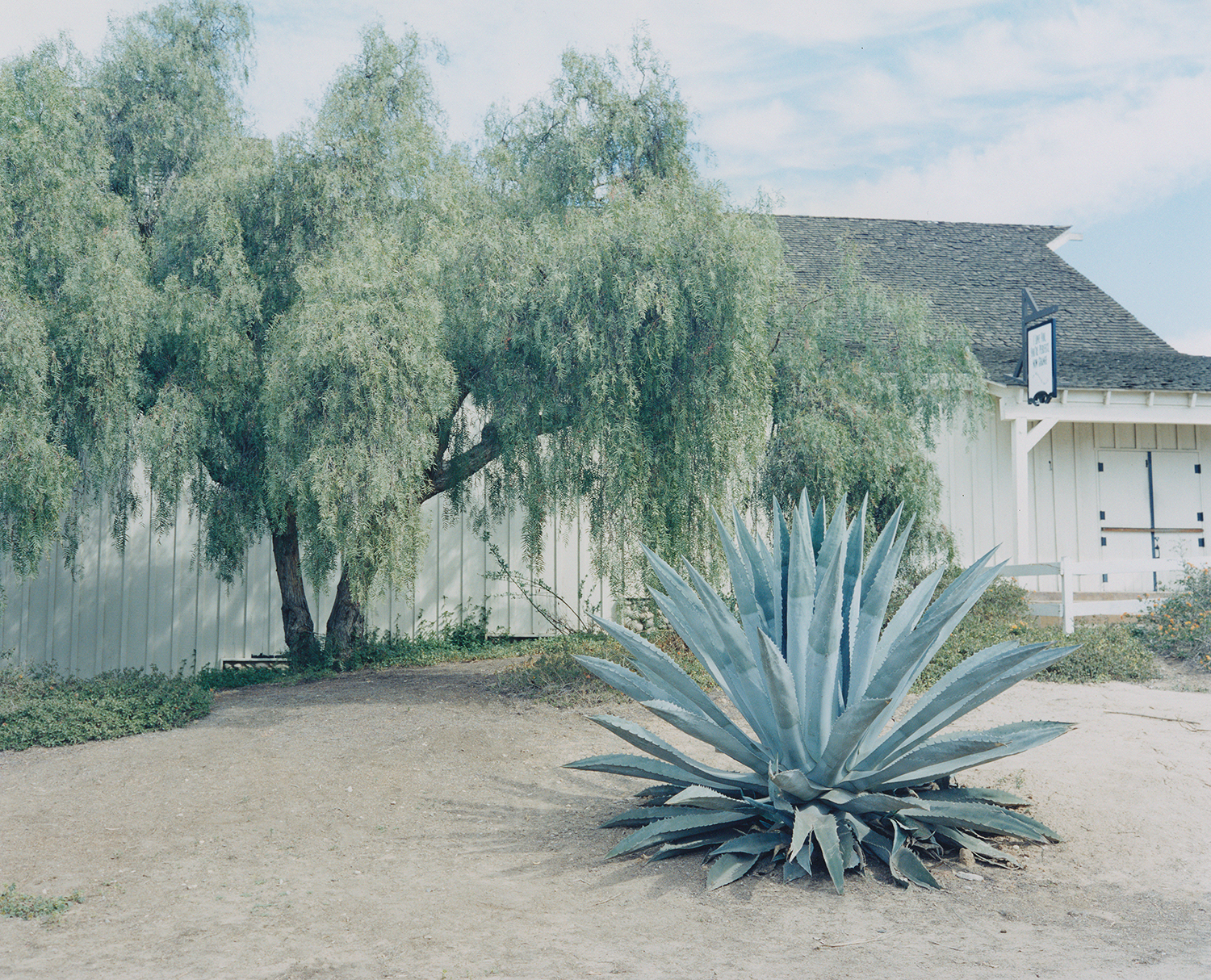 Snapland 019