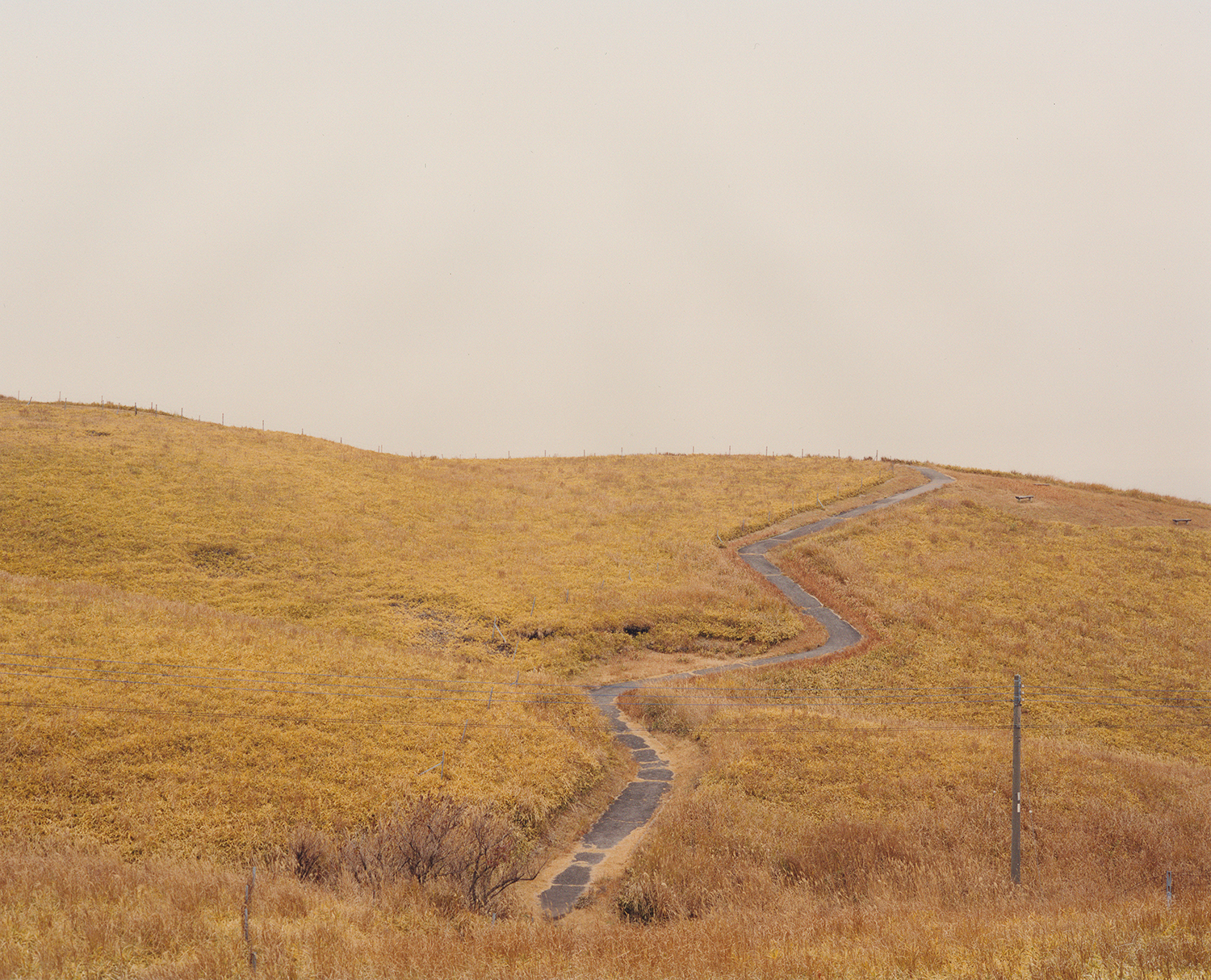 Snapland 038