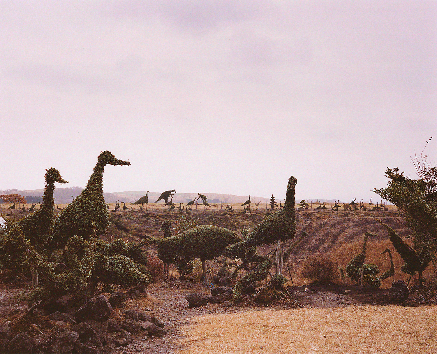 Snapland 040